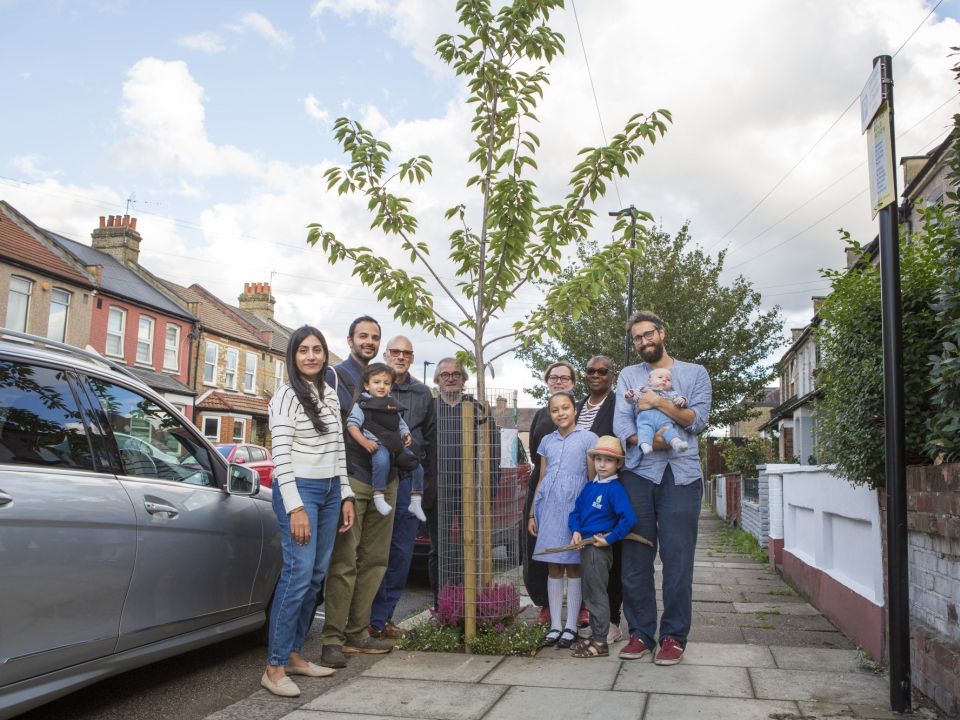 Trees for Streets