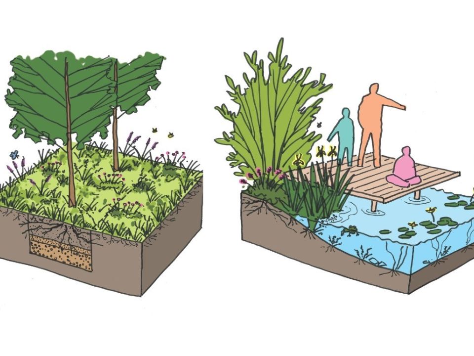 SuDS in Cardiff Schools Feasibility Study