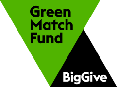 Big give green match fund logo