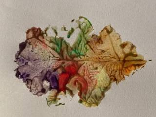 Ackroyd Harvey Leaf printing2