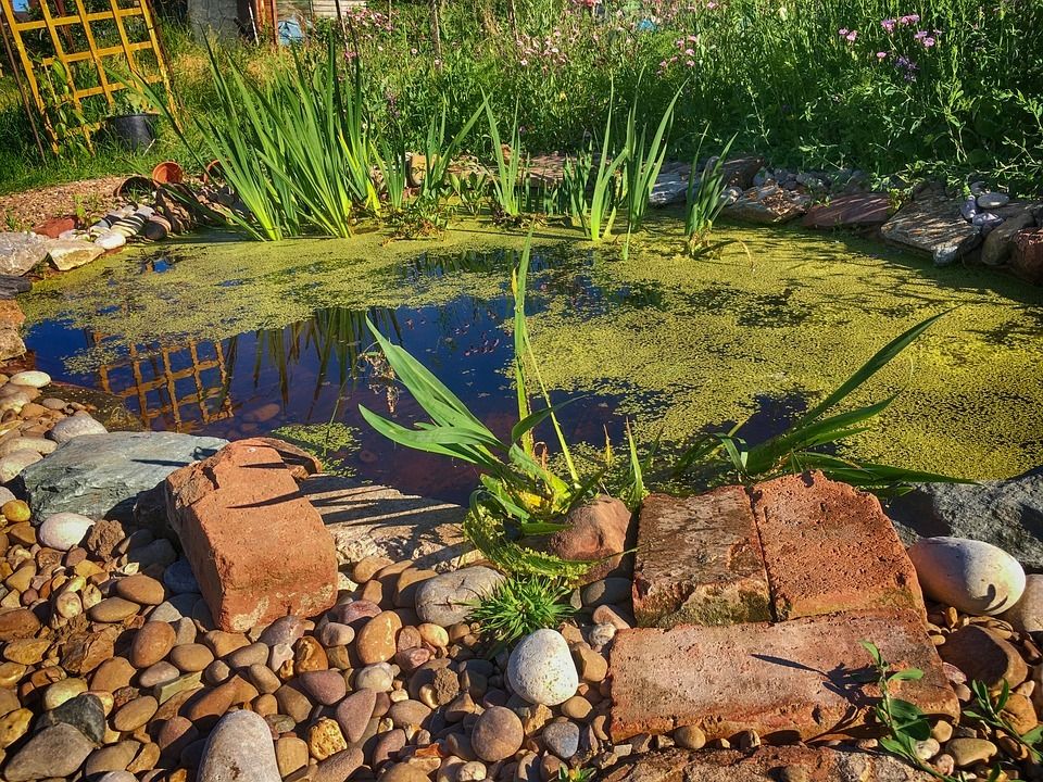 Garden Pond