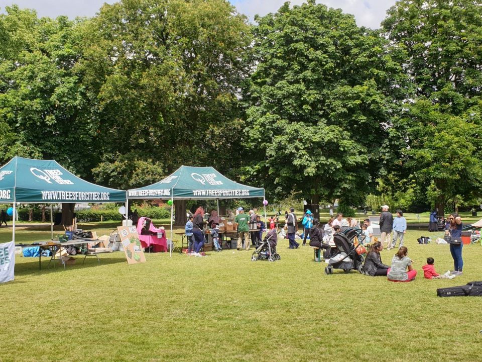Buckland and Stamshaw Green Festival: Supporting A Wilder Portsmouth