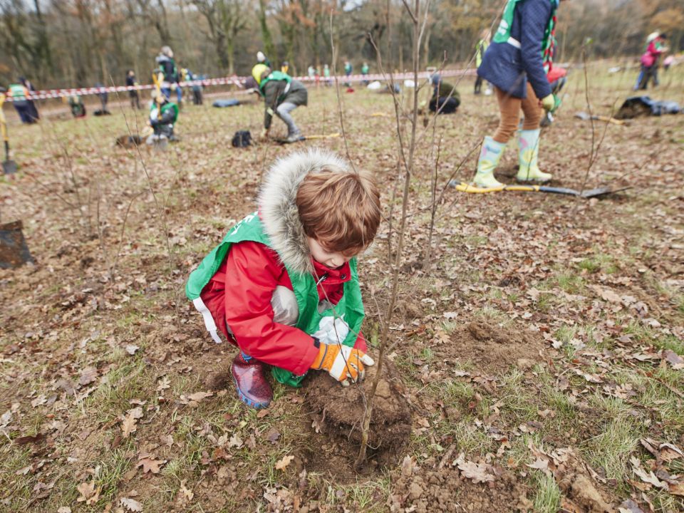 Over 15,000 trees to be planted in Redbridge