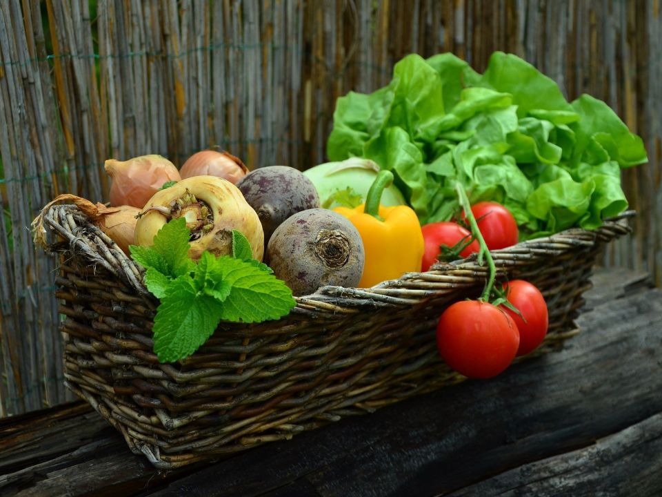 Food waste is rubbish!
