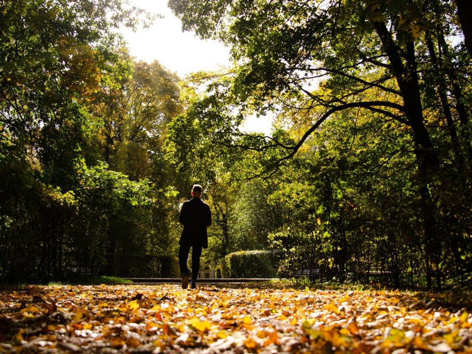 The importance of urban parks and green spaces