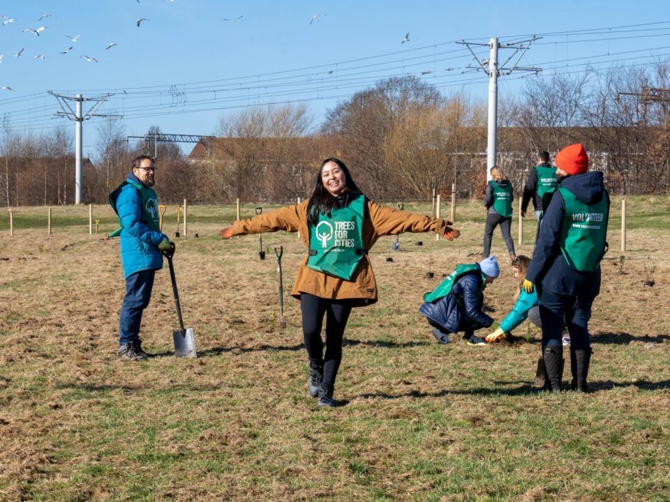 New Trees for Redbridge Recreation Ground