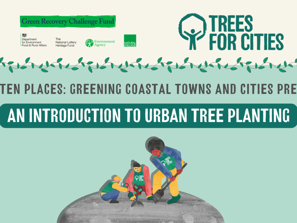 Free Tree Training! An introduction to urban tree planting