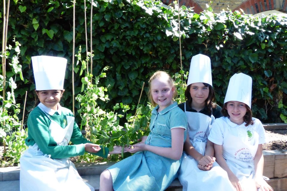 A new Edible Playground is born at Olga Primary Trees for Cities