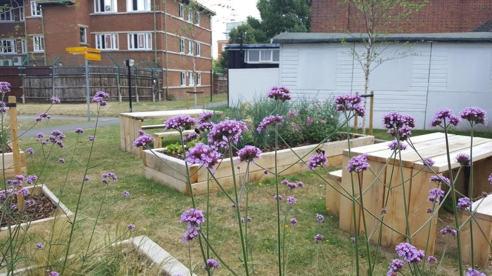 Maudsley Courtyard Garden Iii 11Th July 2017