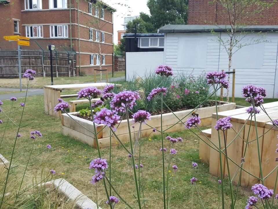 Horticultural Therapy Garden