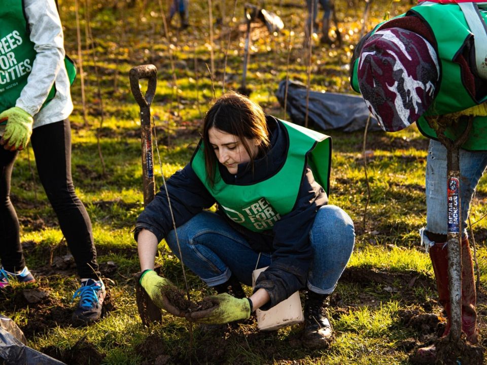 Are you looking for financial support for tree planting this year?