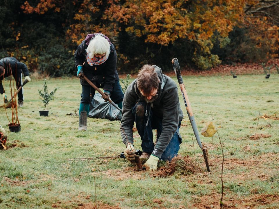New Trees for Holmescroft Open Space
