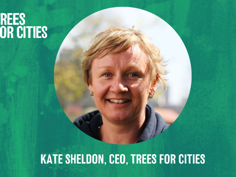 Trees for Cities Appoints New CEO