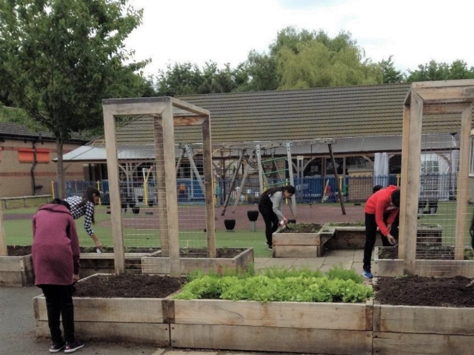 Lyng Primary school  