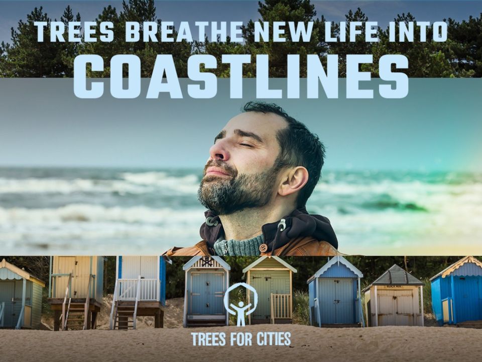 TREES BREATHE NEW LIFE