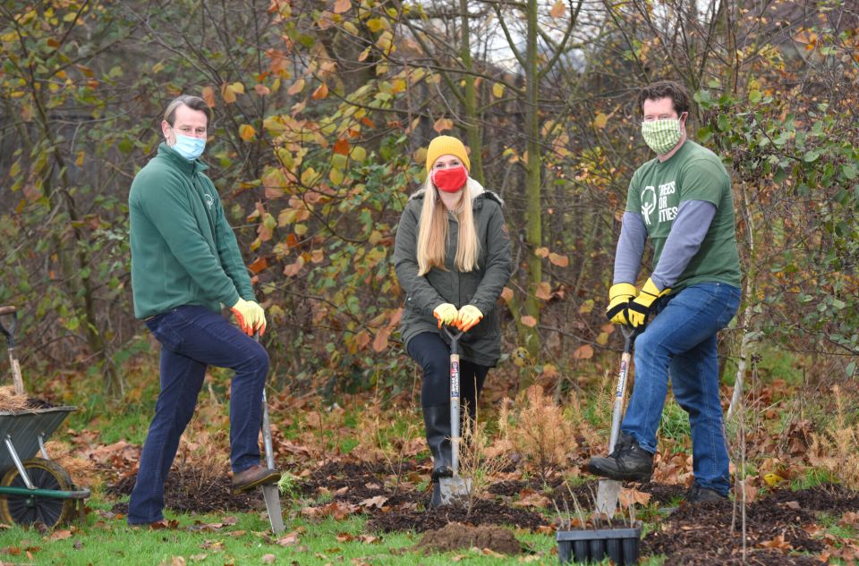 Ocado Trees For Cities 9