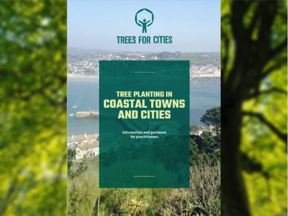 TREE PLANTING GUIDE FOR COASTAL AREAS