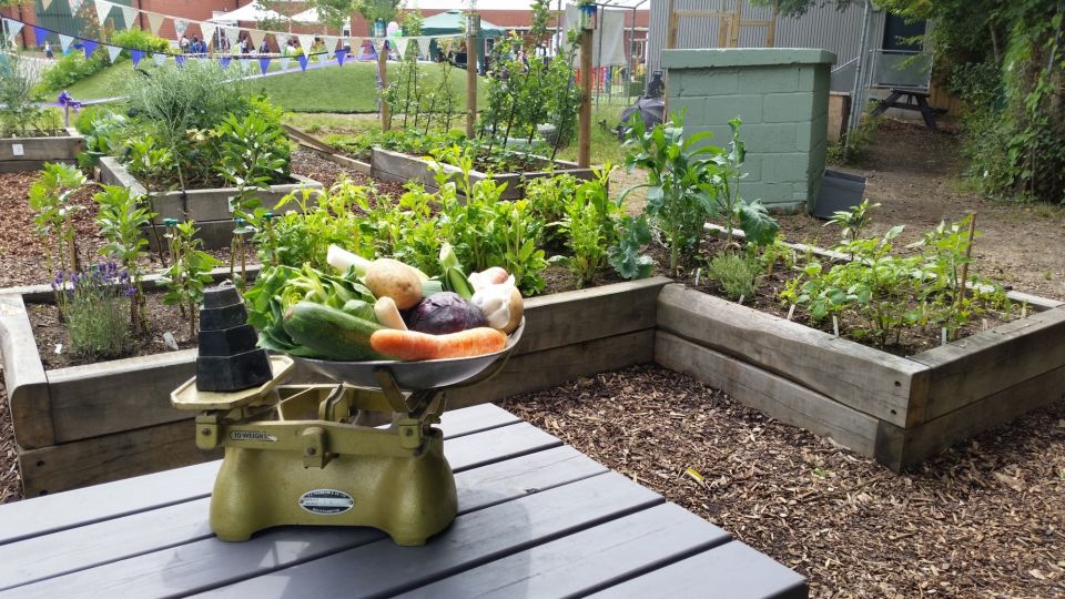 Veg From The Edible Playground At Rockmount Primary School