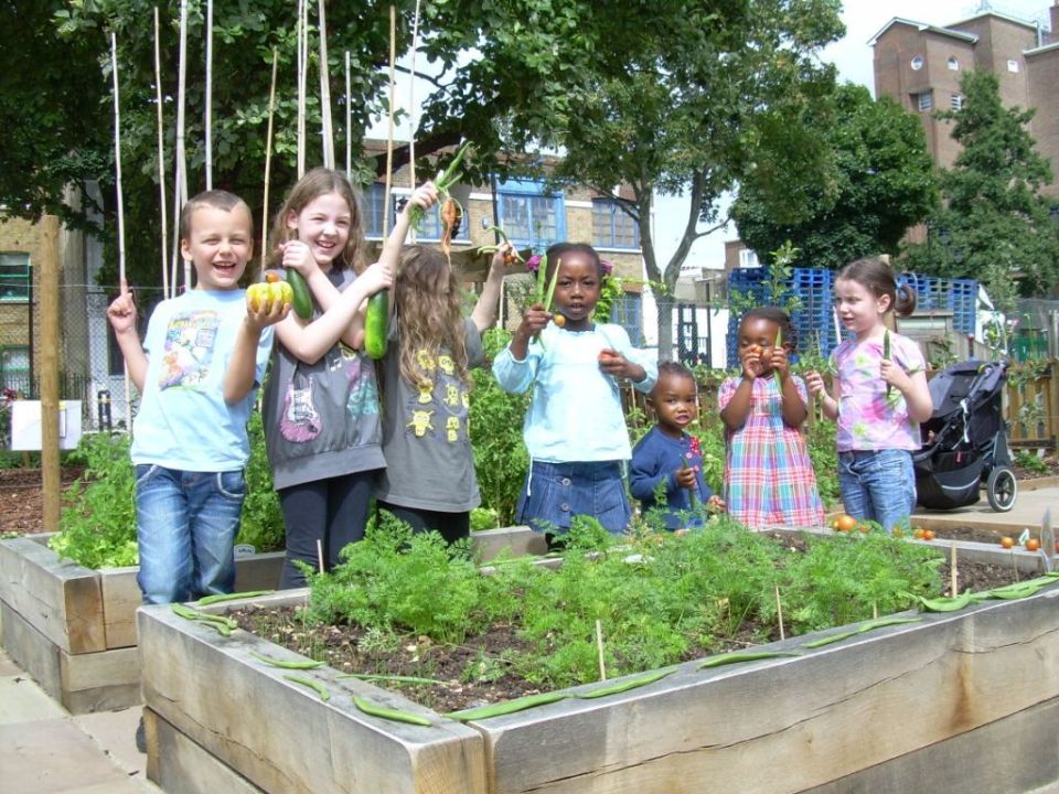 Children From Rotherfield Primary School Harvesting Their Vegetables