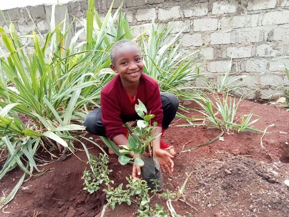 Garden Pen Pals