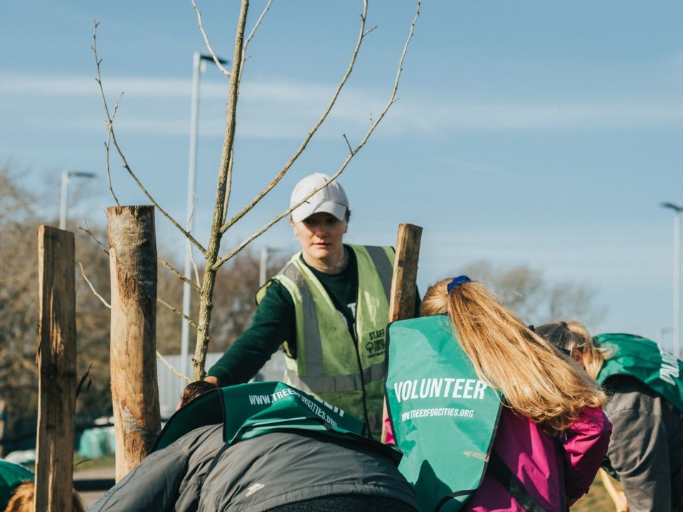 Trainee Urban Forest Coordinator