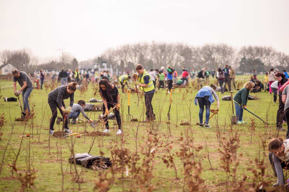 7 Group Planting