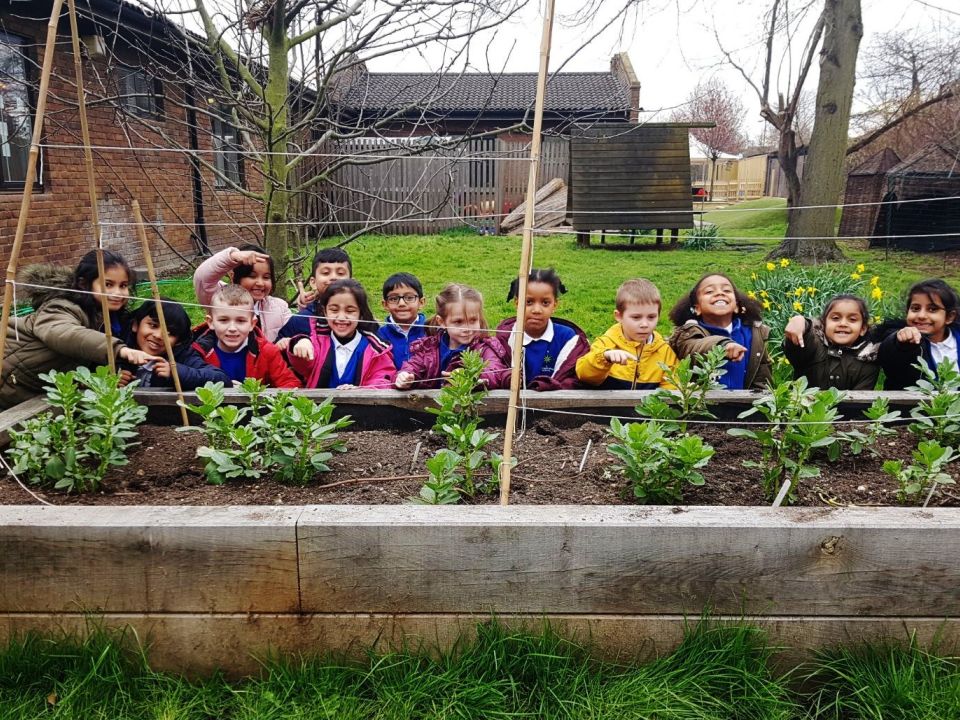 Growing Healthy Minds