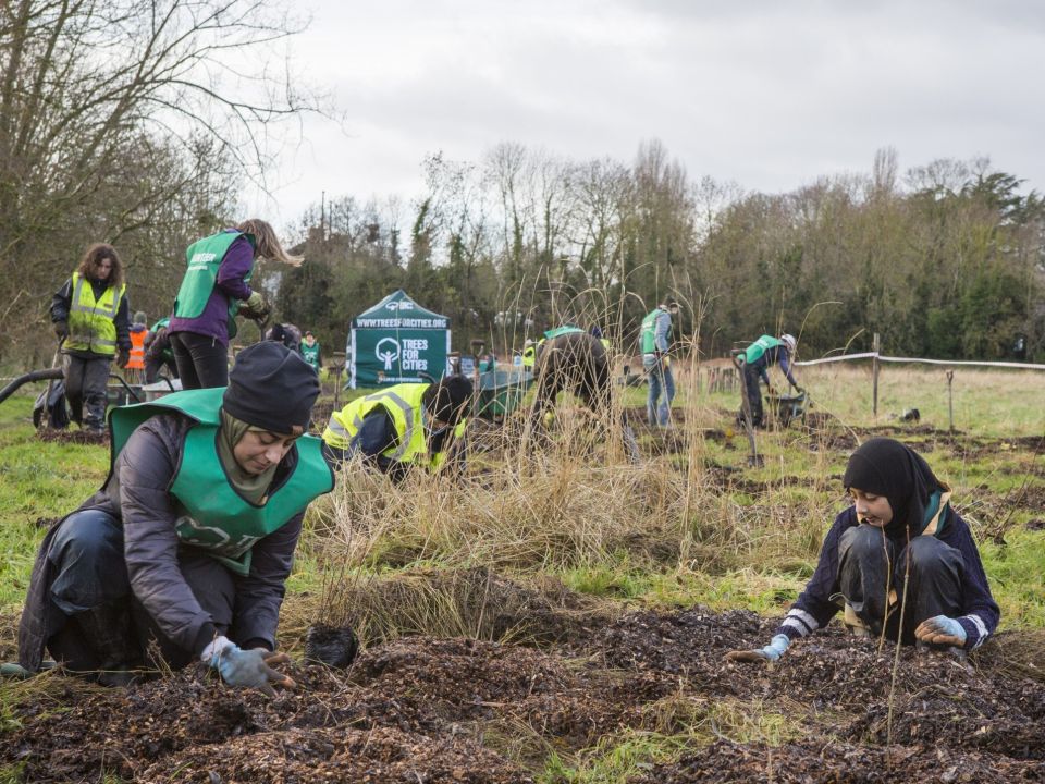 How You Can Take Local Climate Action