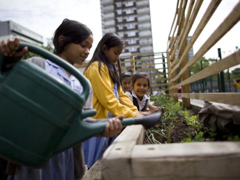 Building a network of greener global schools