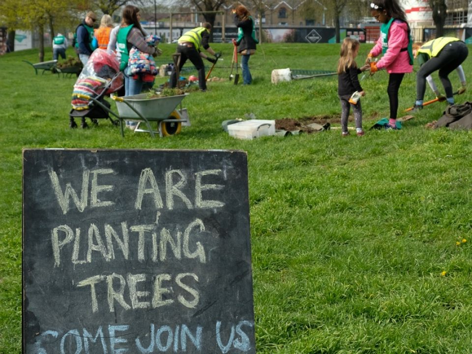 New Trees at Bessingby Park