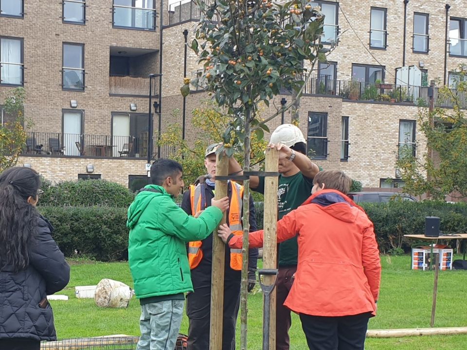 Tree Maintenance Training Session at Northolt Park