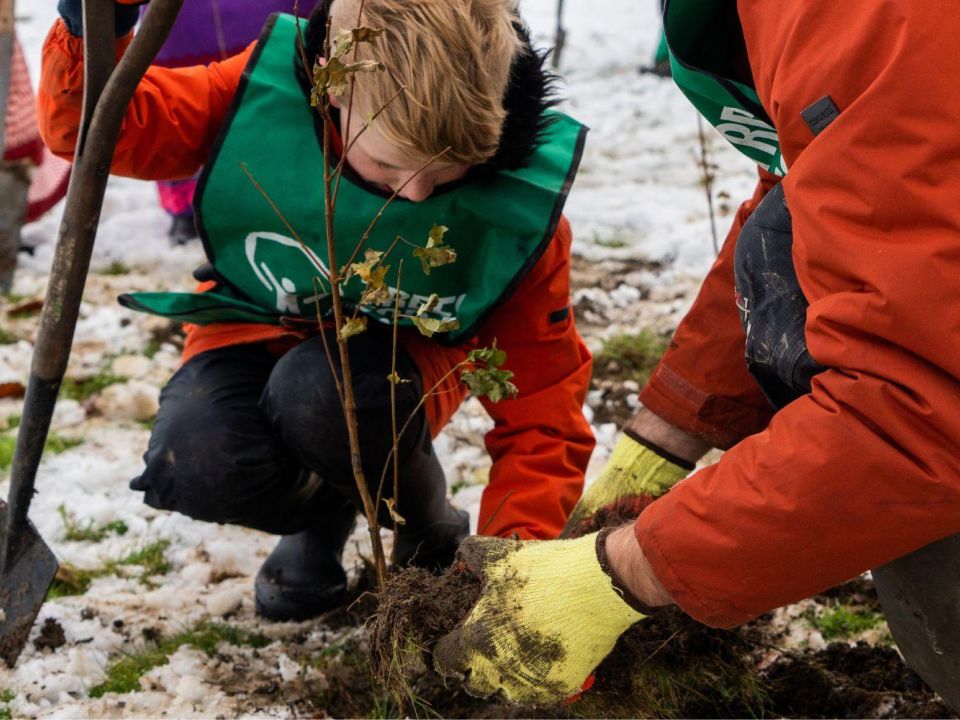 Rooting for equity, planting urban trees
