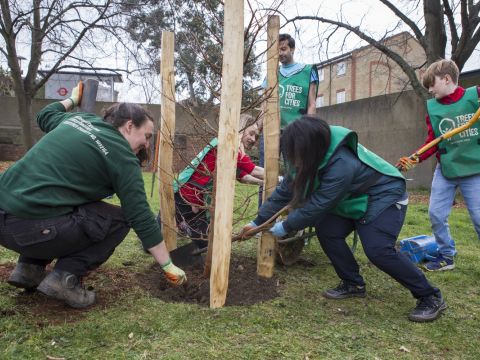 Tree Equity for Hartlepool, Project Community Coordinator
