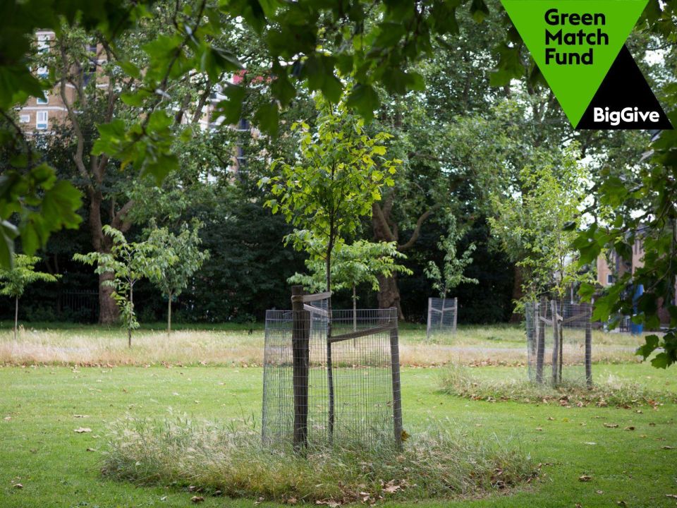 Green up your inbox