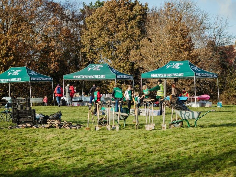 Bexhill’s Tree Planting Strategy