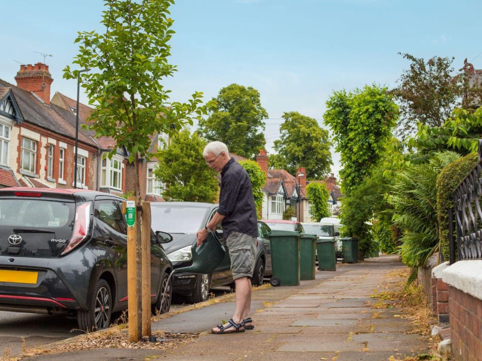 Become A Tree Watering Champion