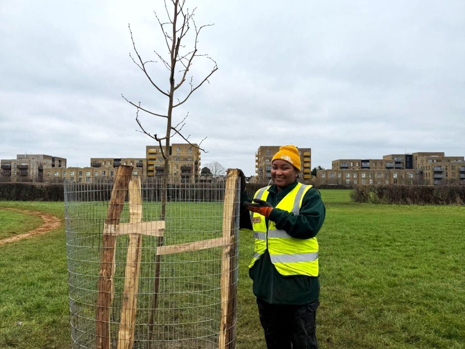 Bolaji standing next to a standard (young tree) she just helped plant
