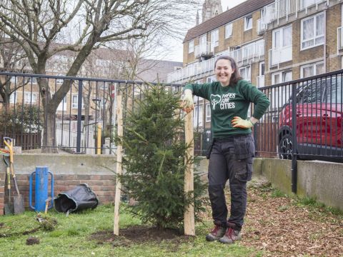 Trees in our cities: 10 reasons we need to plant more