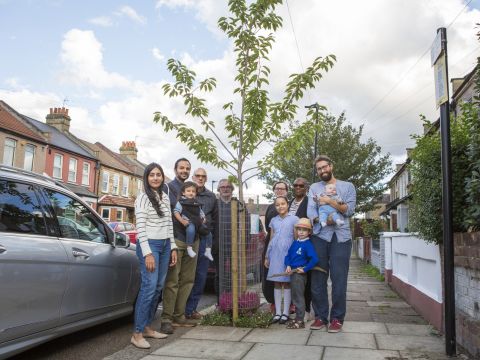 Trees for Streets