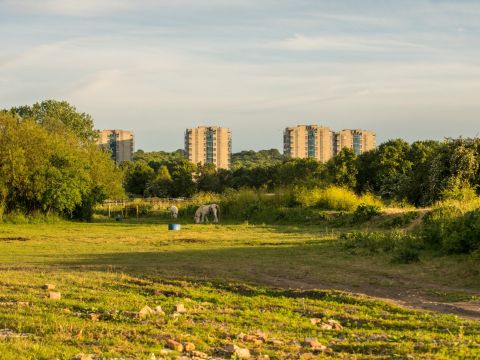 Growing a Greener Future in Thamesmead