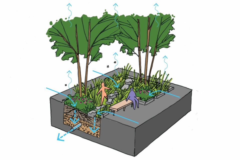 Suds rain garden arrows