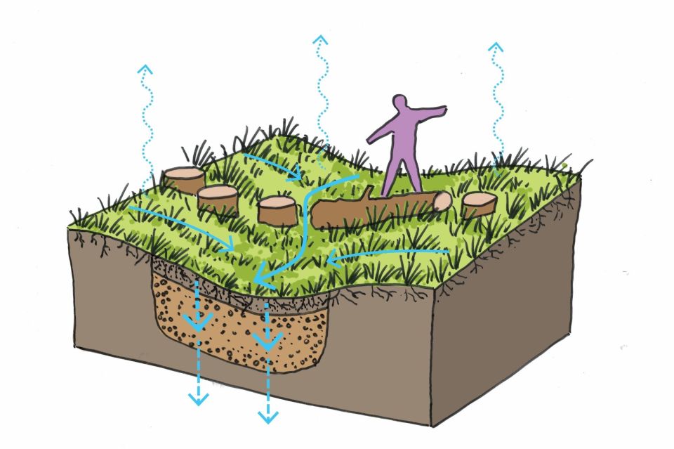 Suds swale arrows