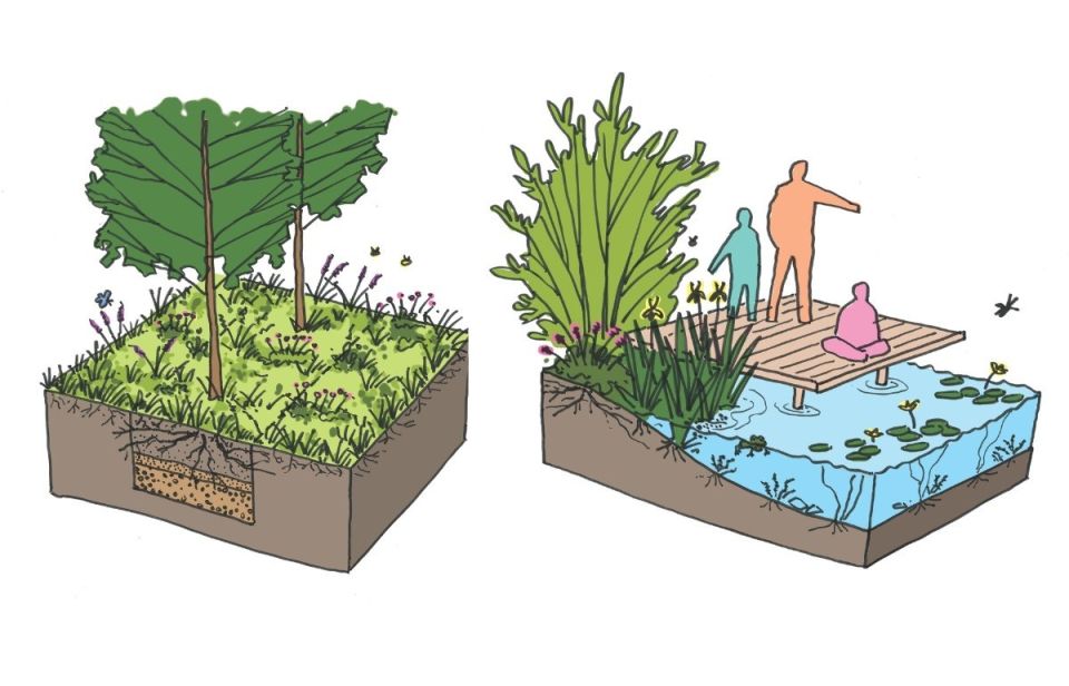 Trees for Cities Su DS Feasibility Study Cardiff graphics