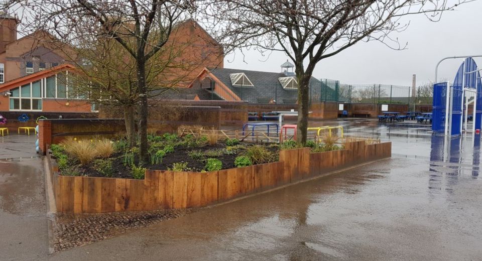Rain garden designed by tfc