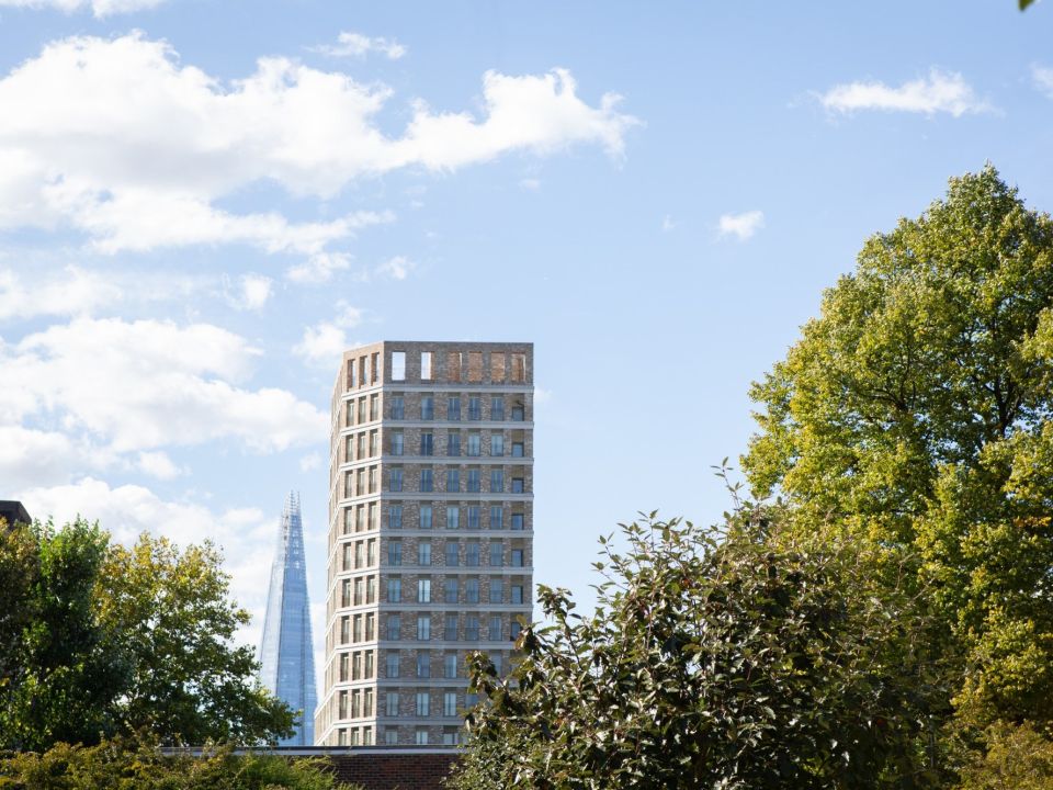 Championing Tree Equity: Why everyone deserves equal access to trees