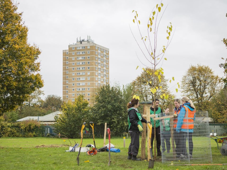 Championing Tree Equity: Why everyone deserves equal access to trees