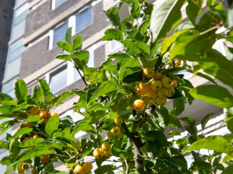 Leave a lasting gift to the planet