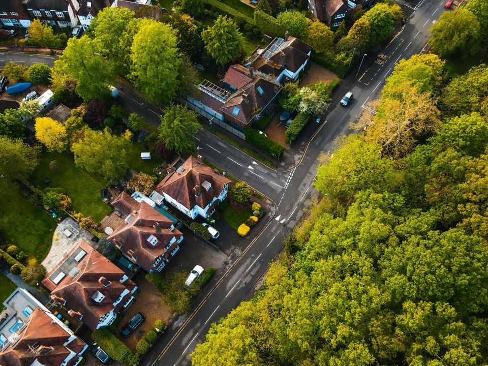 Aerial view of trees near roads