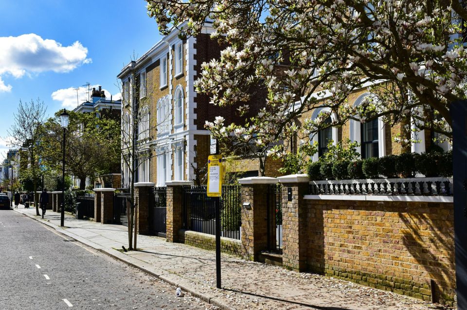 Blossom street trees