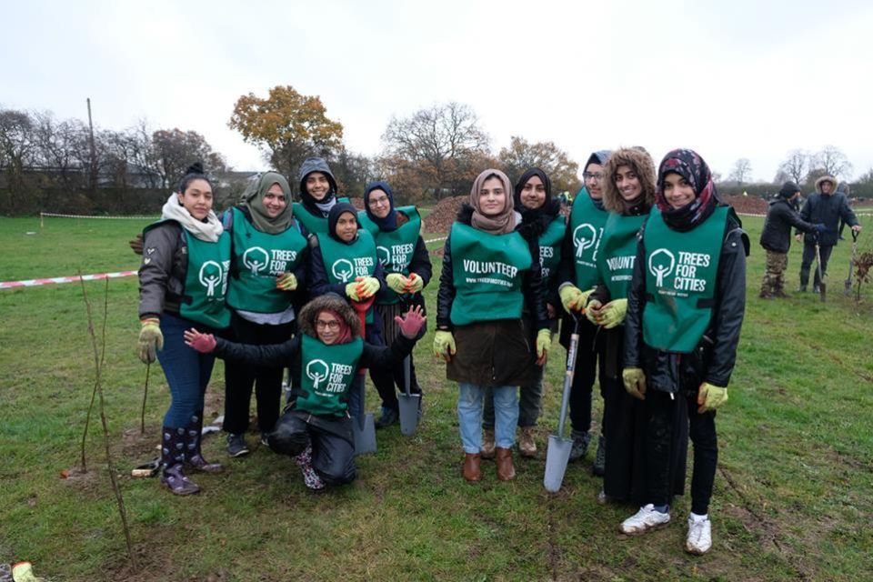 Volunteer